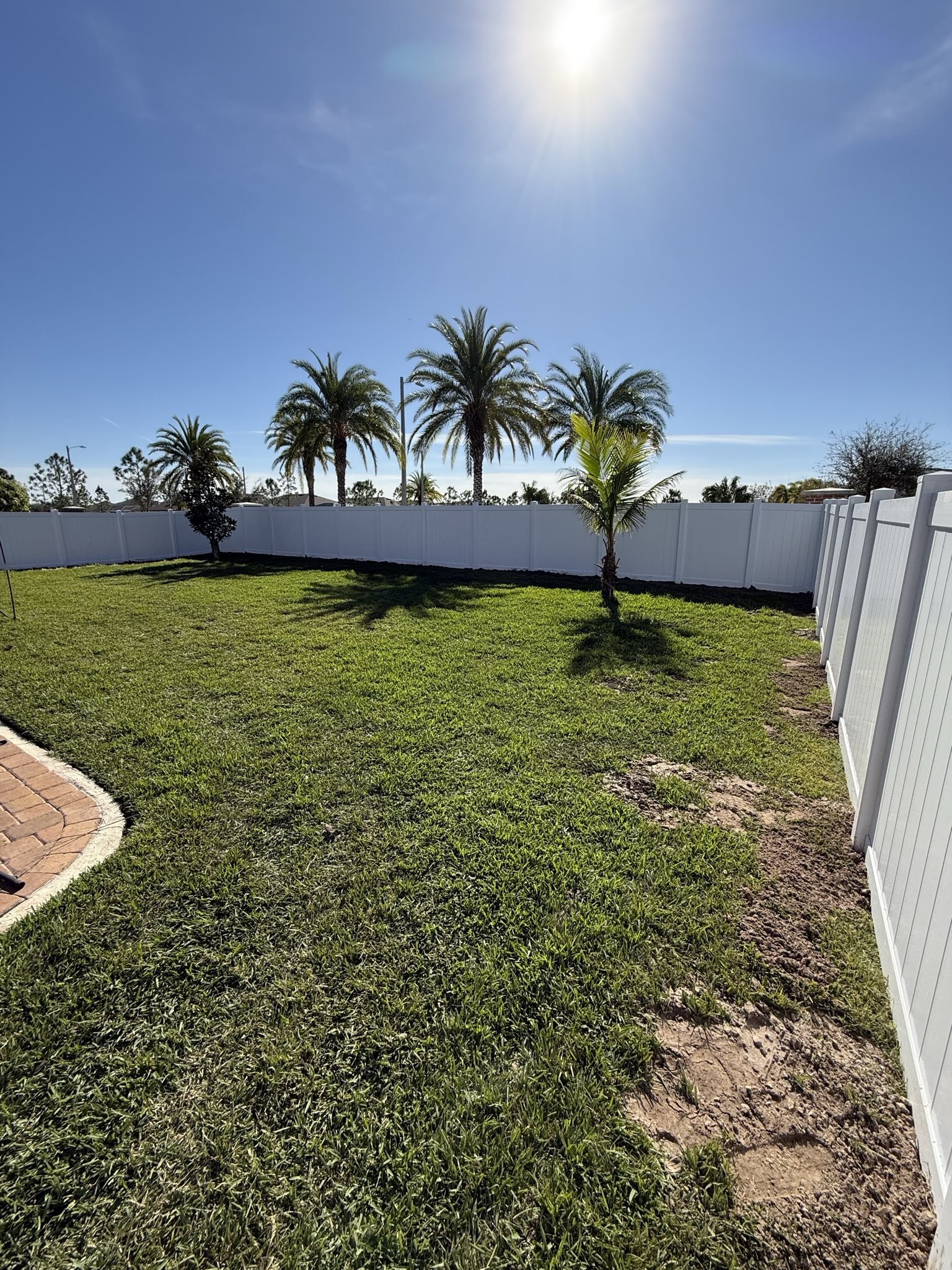 Wood privacy fence with Florida palms, built by Wilson's Fencing