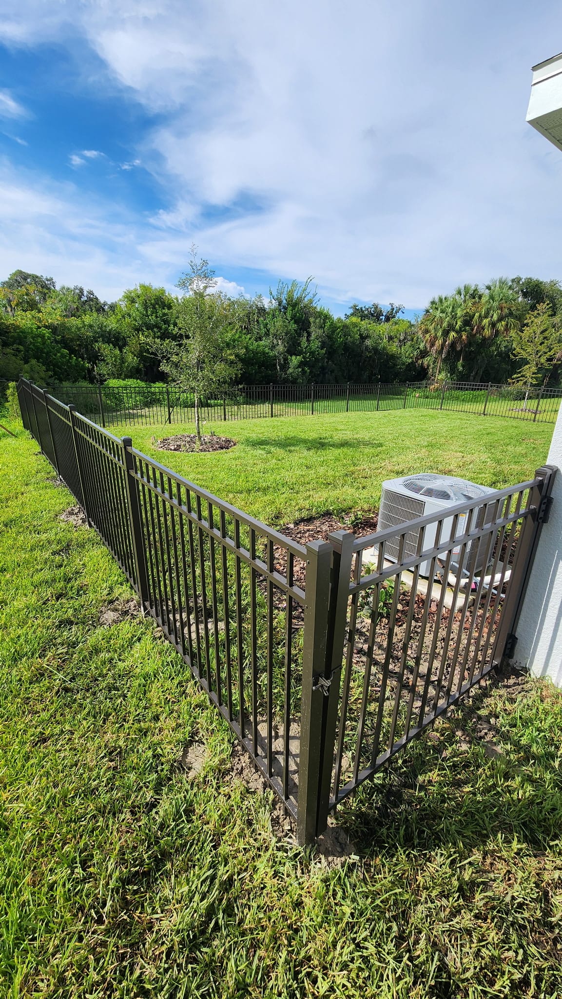 Black aluminum yard fence with gate built by Wilson's Fencing